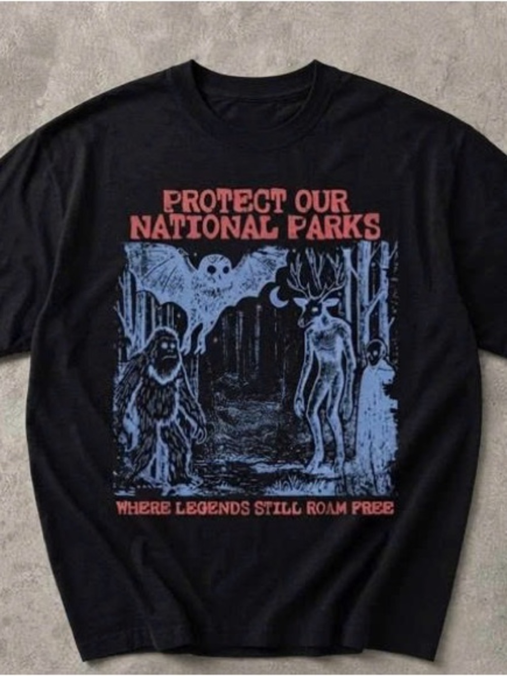 'Protect Our National Parks' Graphic Tee with Red & Blue Print